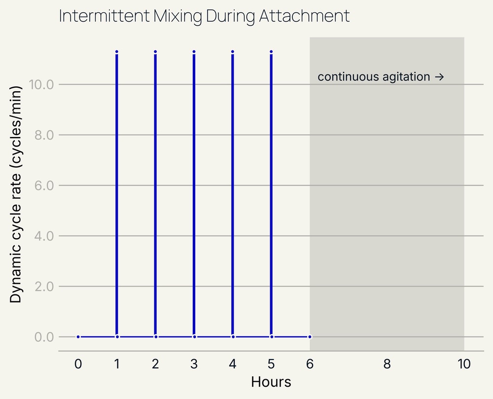 Plot of the dynamic cycle rate of Lattice mini during the intermittent agitation attachment phase.