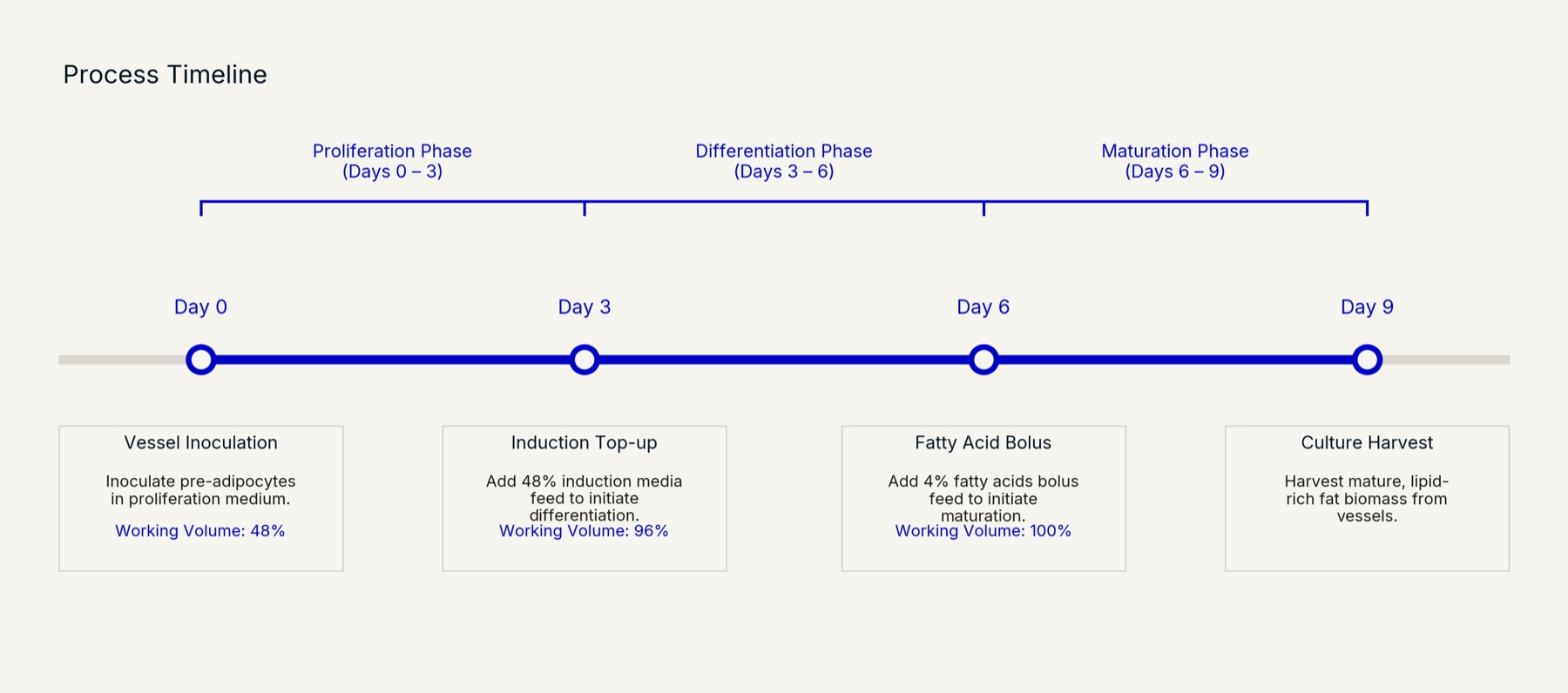 Process flow diagram of the 9-day fed-batch bioprocess showing proliferation, differentiation and maturation phases with media top-ups and working volume progression.