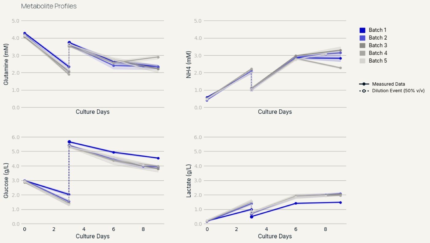 Four charts showing glutamine, glucose, lactate and ammonium concentrations over nine days of culture for five batches.